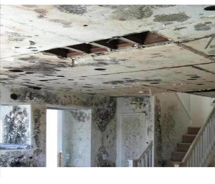 Mold growth in commercial building