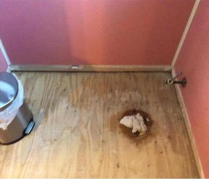 Hole on wooden floor, toilet removed