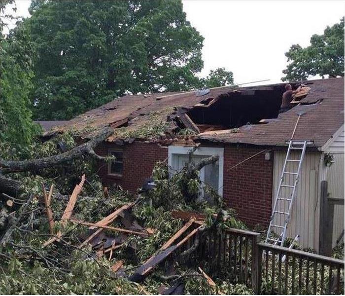 Tree fallen on the roof of a property. Roof damaged by storm